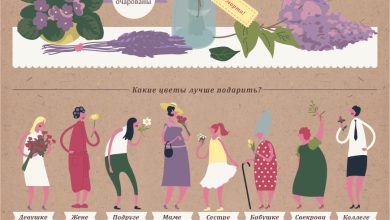 Photo of История и значение букетов