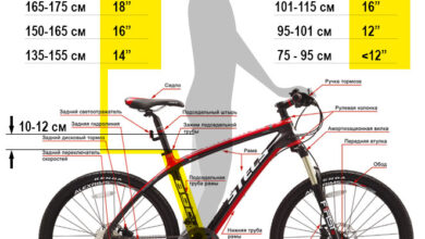 Photo of Основные критерии выбора мужского велосипеда
