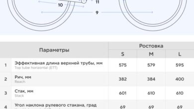 Photo of Критерии выбора женского велосипеда